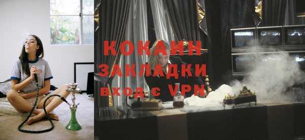 шишки Дмитровск