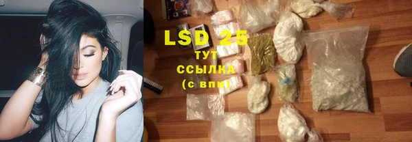 ешки Горняк