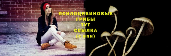 бутират Горнозаводск