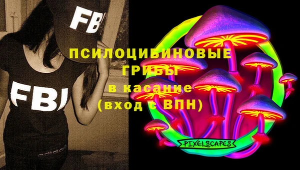 ешки Горняк
