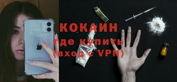 бошки Дмитров