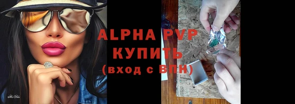 шишки Дмитровск