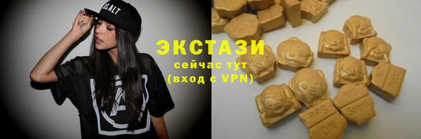 ешки Горняк