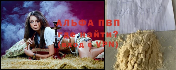 ешки Горняк