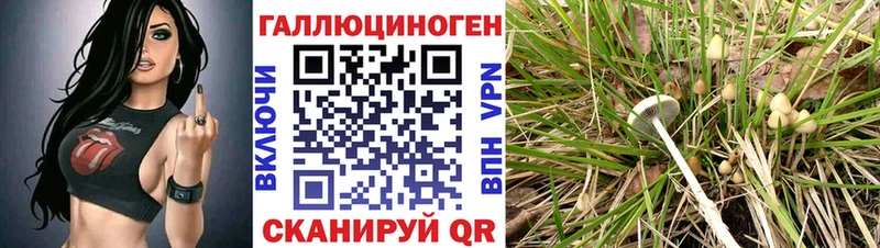 Псилоцибиновые грибы прущие грибы  Белоярский 